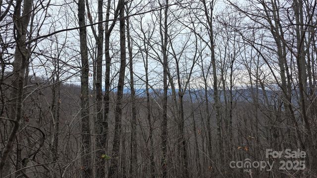 402 High Hickory Trail 51, Swannanoa, NC 28778