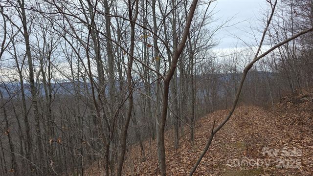 402 High Hickory Trail 51, Swannanoa, NC 28778