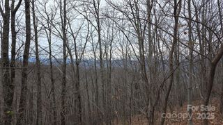 402 High Hickory Trail 51, Swannanoa, NC 28778