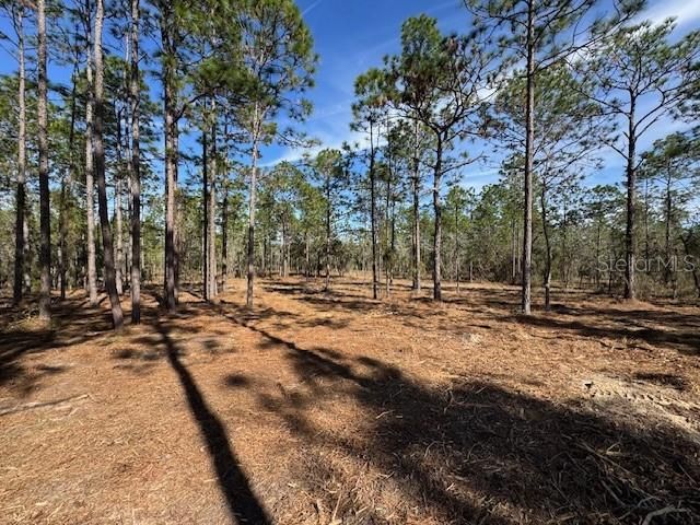 SW OBEE RIDGE ROAD, Dunnellon, FL 34431