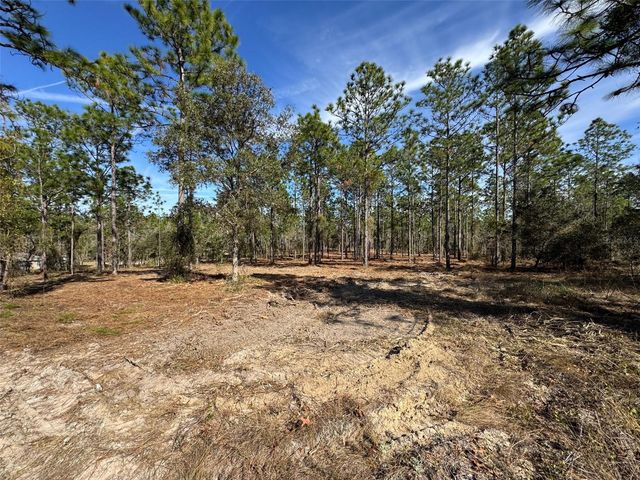 SW OBEE RIDGE ROAD, Dunnellon, FL 34431