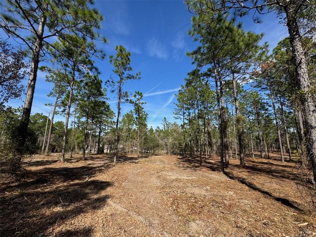 SW OBEE RIDGE ROAD, Dunnellon, FL 34431