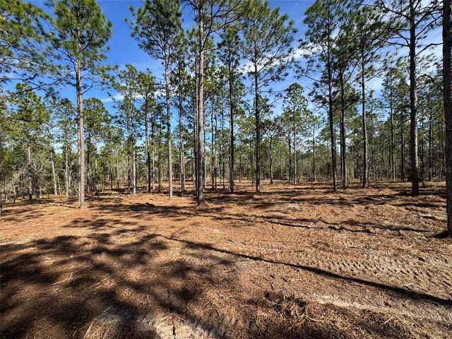 SW OBEE RIDGE ROAD, Dunnellon, FL 34431
