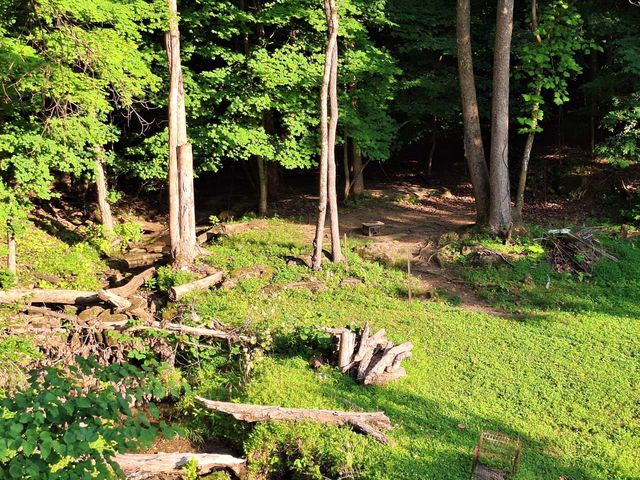 948 Wilson Station Road, Englewood, TN 37329