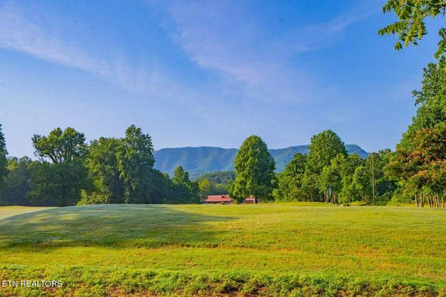 3669 Lindsey Mill Rd, Gatlinburg, TN 37738