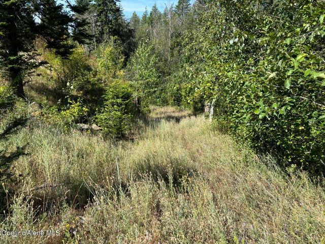 NNA S Idaho Club Drive, Sandpoint, ID 83864