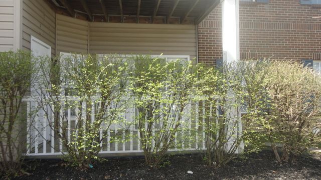 955 Mistflower Lane, Florence, KY 41042