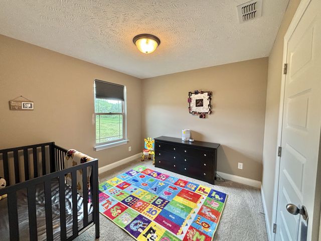 2010 Haystack Ct, Christiana, TN 37037