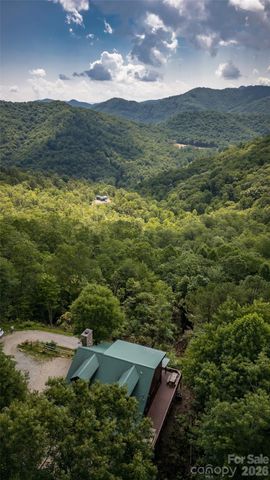 460 Briggs Cove Road, Robbinsville, NC 28771