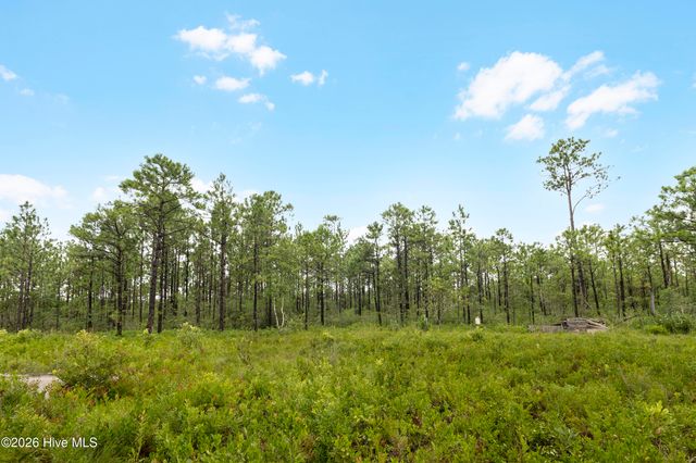 Tract 1 Hwy 17 Off, Hampstead, NC 28443