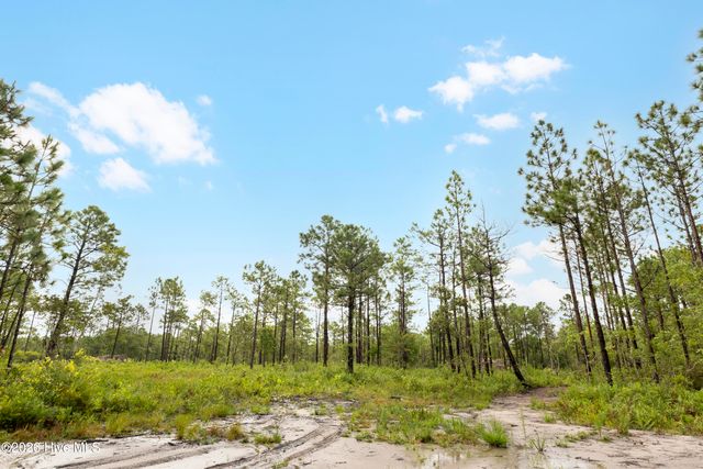 Tract 1 Hwy 17 Off, Hampstead, NC 28443