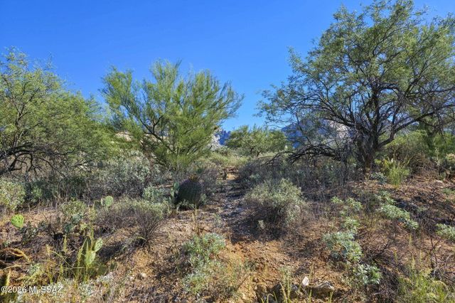 1726 E Buck Ridge Place, Tucson, AZ 85737