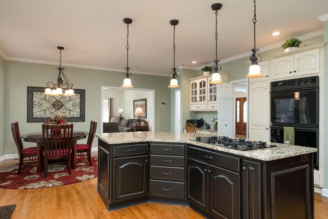 9950 Frost Ridge Drive, Ooltewah, TN 37363