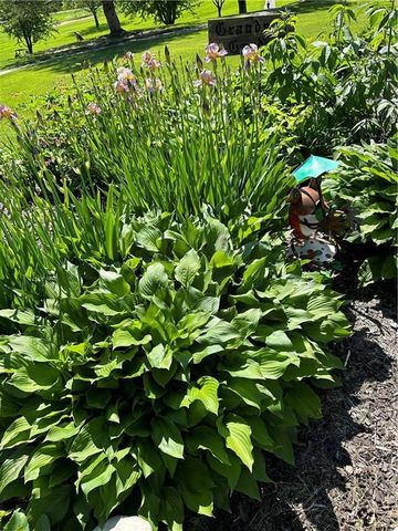 360 12th Street, Black River Falls, WI 54615