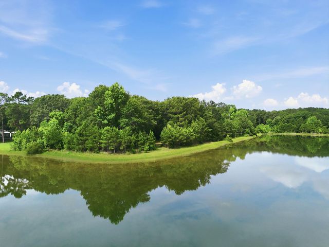 29320 Clydesdale Drive, Waller, TX 77484