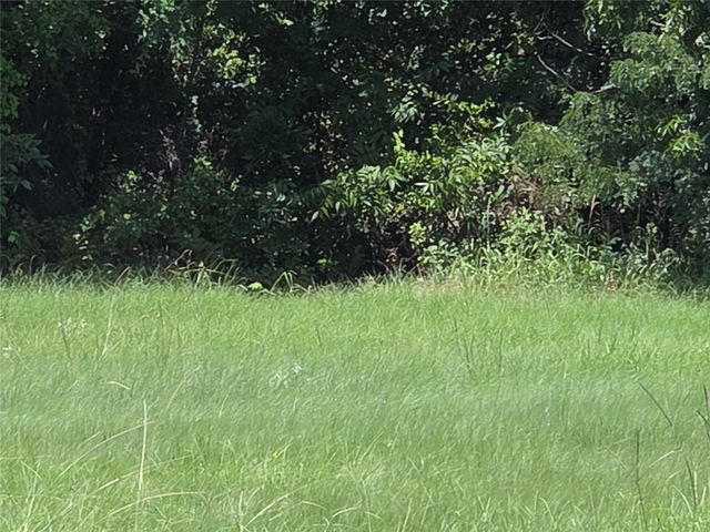 Lot 26 Clubhouse Drive, Corsicana, TX 75109