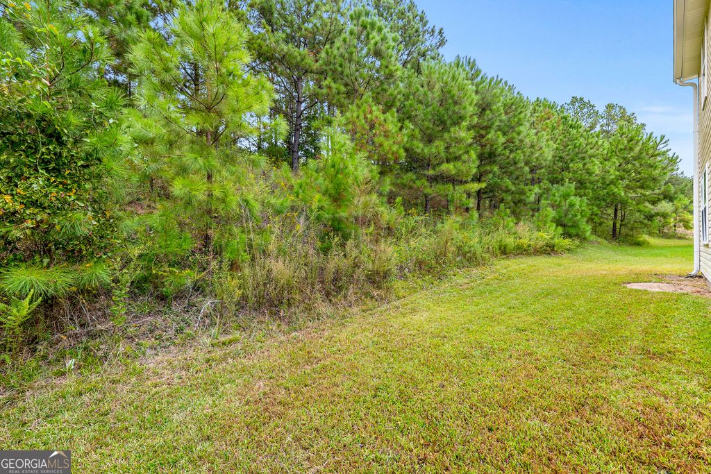 7537 Congregation Street, Fairburn, GA 30213 — photo 4