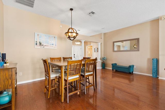 704 PALMA DRIVE, The Villages, FL 32159