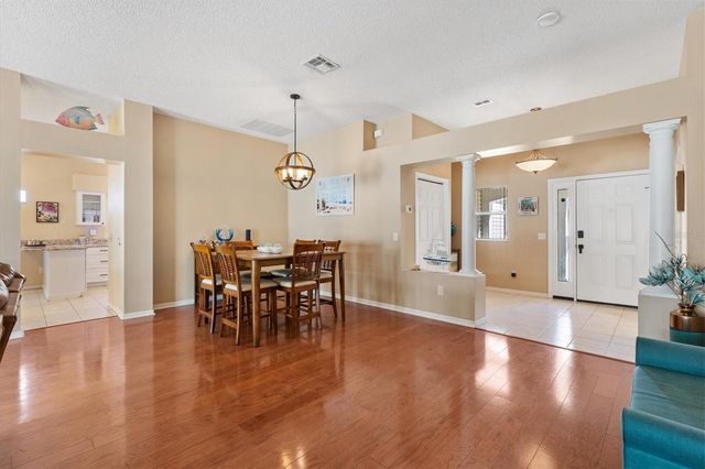 704 PALMA DRIVE, The Villages, FL 32159