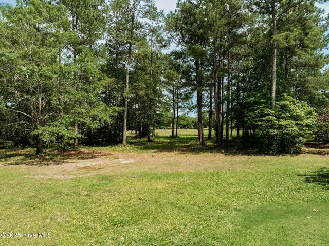 166 Falls Landing Way, Wallace, NC 28466
