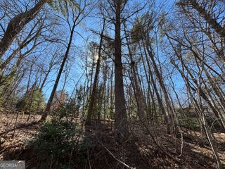 0 Waterfall Drive 9, Cleveland, GA 30528