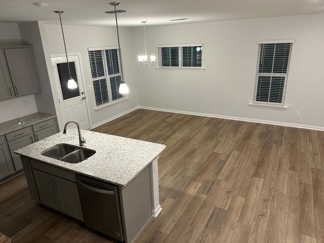 1007 Blissful Waters Street, Durham, NC 27703