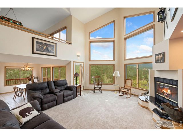 366 N Rim Rd, Livermore, CO 80536