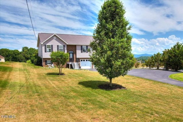 1156 Henderson Court, Jonesborough, TN 37659