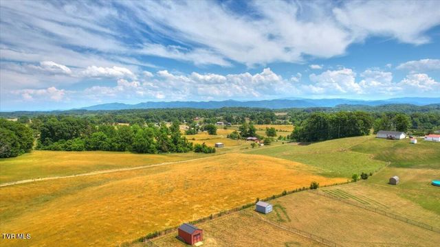 1156 Henderson Court, Jonesborough, TN 37659