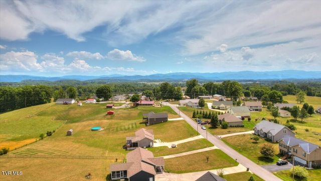 1156 Henderson Court, Jonesborough, TN 37659