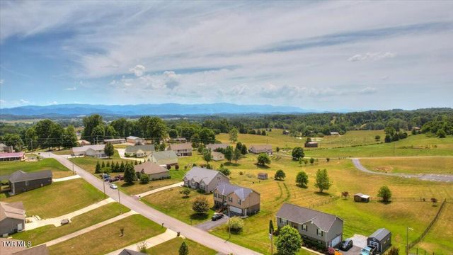 1156 Henderson Court, Jonesborough, TN 37659
