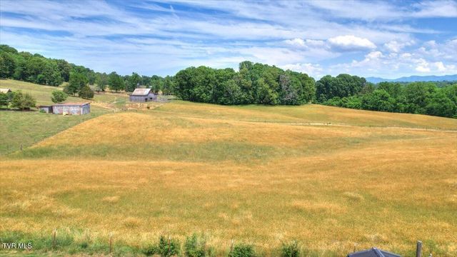 1156 Henderson Court, Jonesborough, TN 37659
