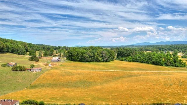 1156 Henderson Court, Jonesborough, TN 37659