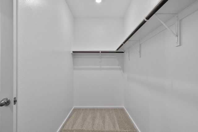 2790 Holly Laurel Drive, Alvin, TX 77511