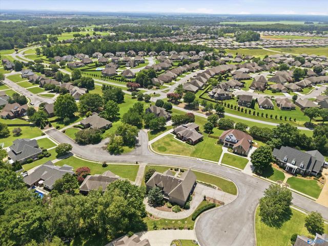 22191 Diamond Pointe Drive, Athens, AL 35613