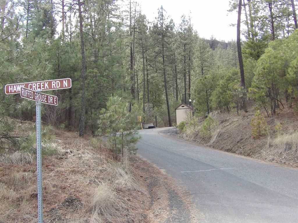 Tract E Meadow Lane Rd, Davenport, WA 99122