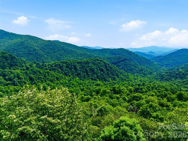 0 Mountain Gait Drive Lots 16 & 17, Mars Hill, NC 28754