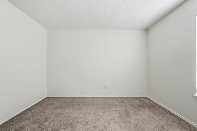 736 Trees Drive, Cedar Hill, TX 75104