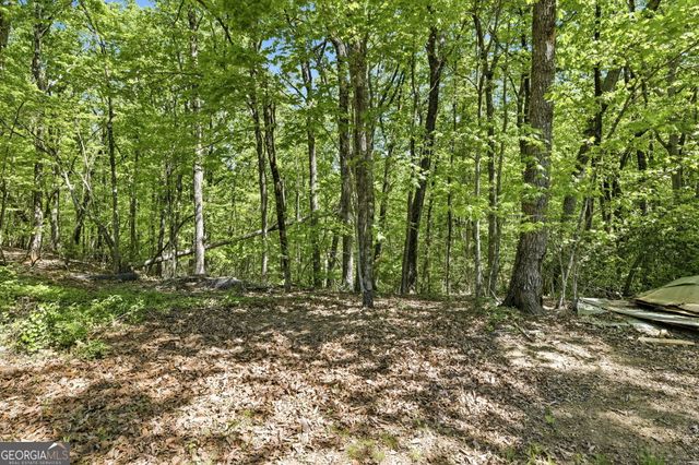 523 Mountain Ranch Road, Clarkesville, GA 30523
