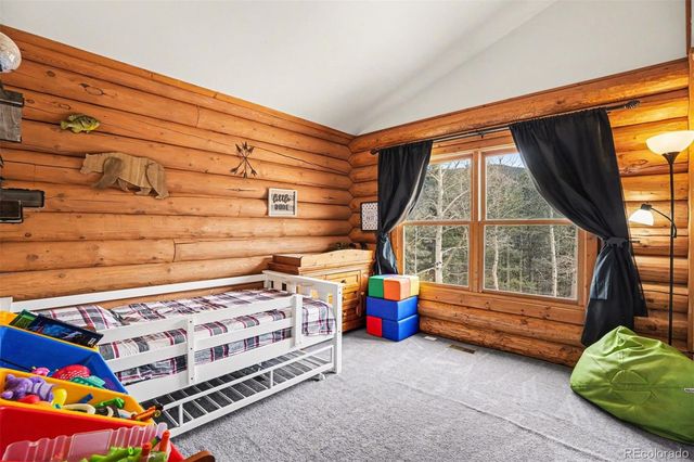 220 Rocky Mountain View, Divide, CO 80814