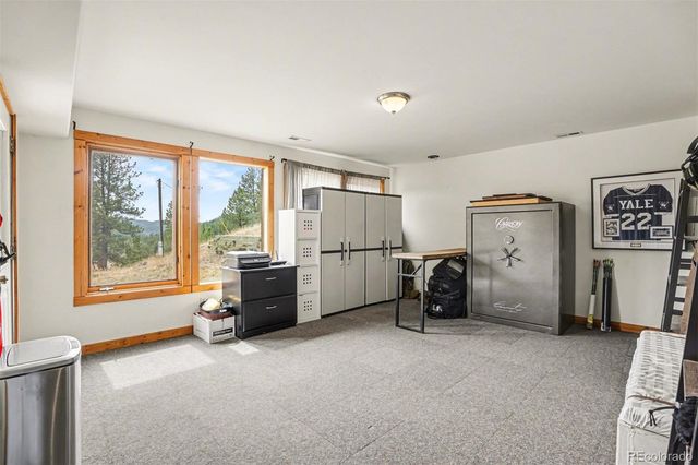 220 Rocky Mountain View, Divide, CO 80814