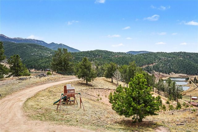 220 Rocky Mountain View, Divide, CO 80814
