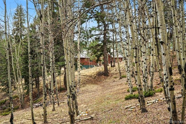 220 Rocky Mountain View, Divide, CO 80814