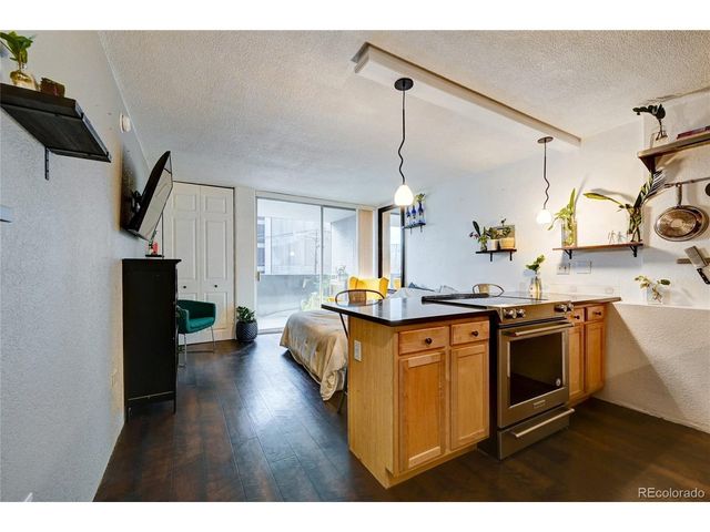 909 N Logan St 3C, Denver, CO 80203