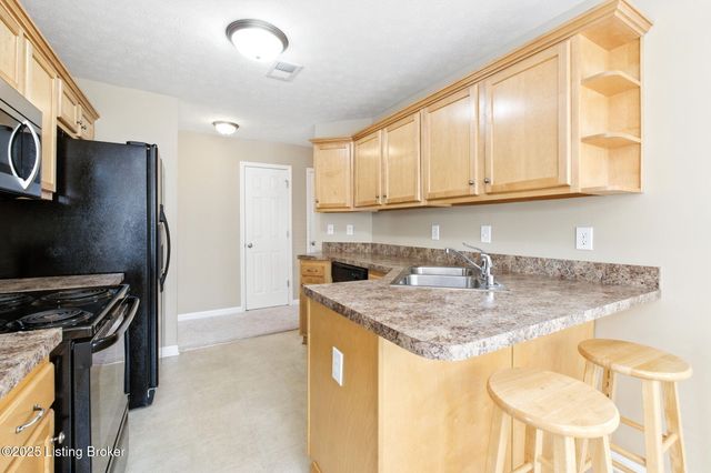 10009 Vista Springs Way, Louisville, KY 40291