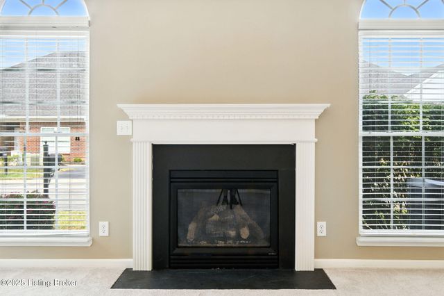 10009 Vista Springs Way, Louisville, KY 40291