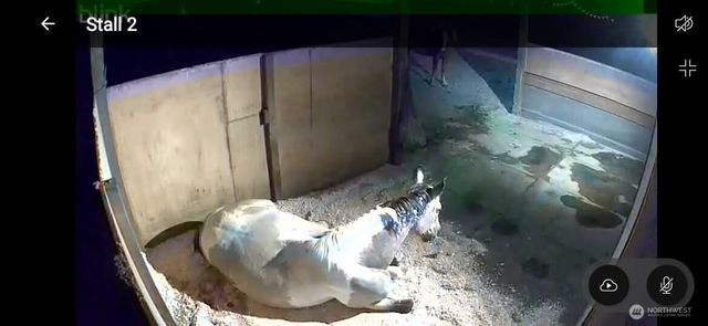 8106 Spurgeon Creek Road SE, Olympia, WA 98503