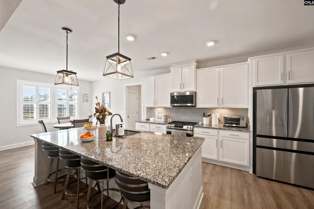 307 Rainbow Shad Way, Lexington, SC 29072