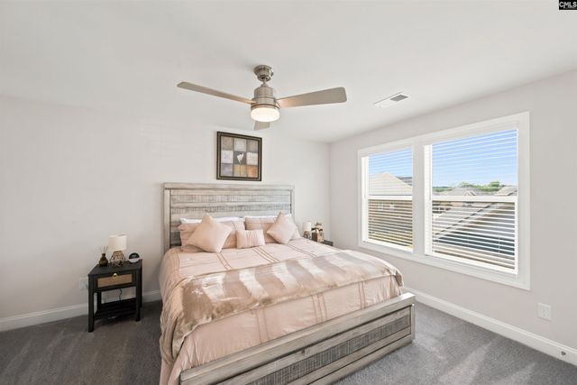307 Rainbow Shad Way, Lexington, SC 29072