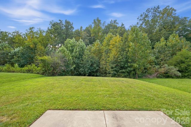 10216 Green Grass Road 286, Charlotte, NC 28227